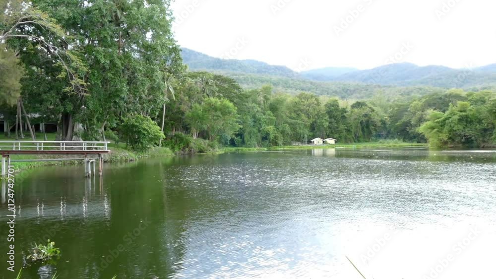 scenic of the mountain, forest and reflection on the pond scenic of the mountain, forest and reflection on the pond