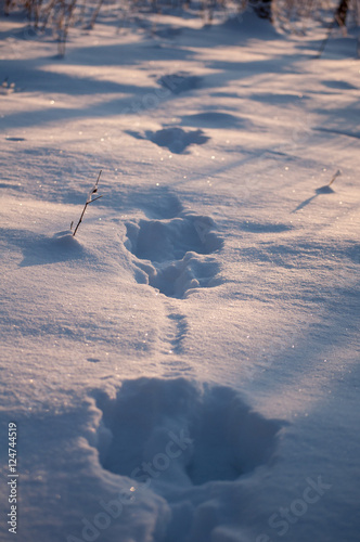 Footsteps snow