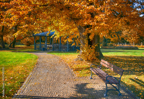 Jesienny Park
