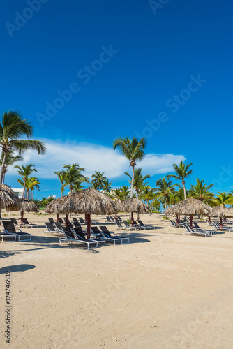 palm beach chaise longue © dbrus