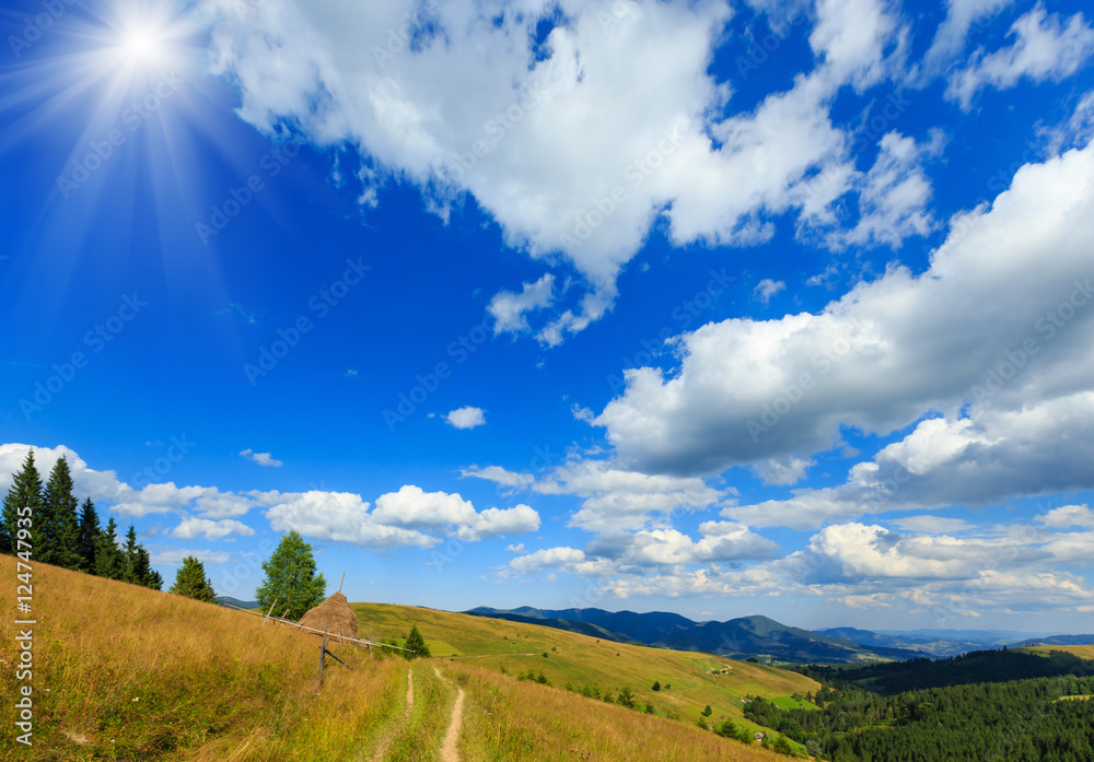 Naklejka premium Summer sunshiny mountain country view (Carpathian, Ukraine).