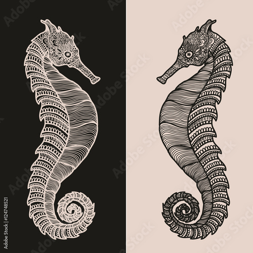 Zentangle stylized black and beige Sea Horse. Hand Drawn vector illustration isolated. Sketch ocean collection.