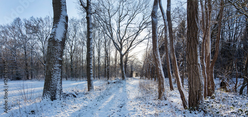 Lane in winter with snow. Maatschappij van Weldadigheid Netherlands Boschoord photo