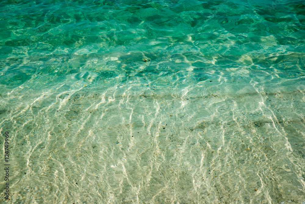 透明な海