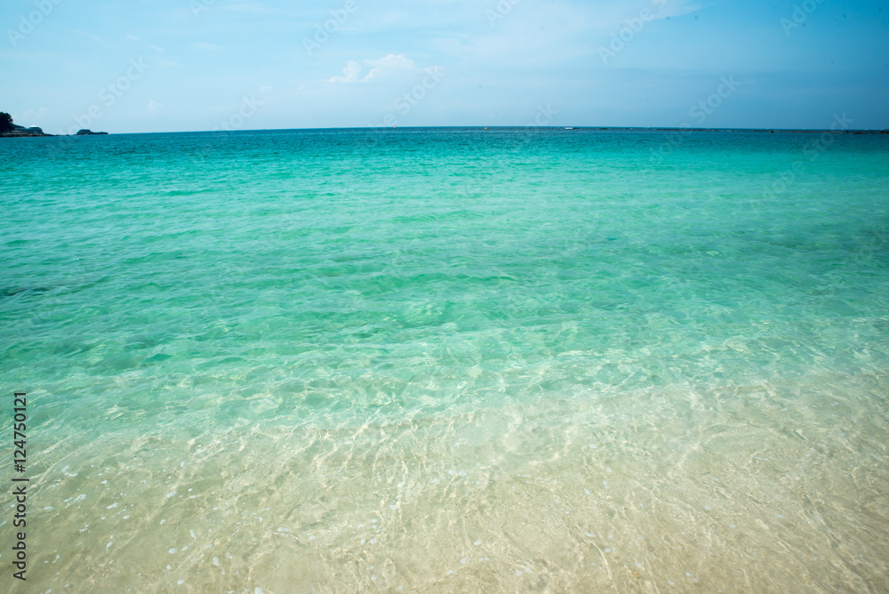 夏の海