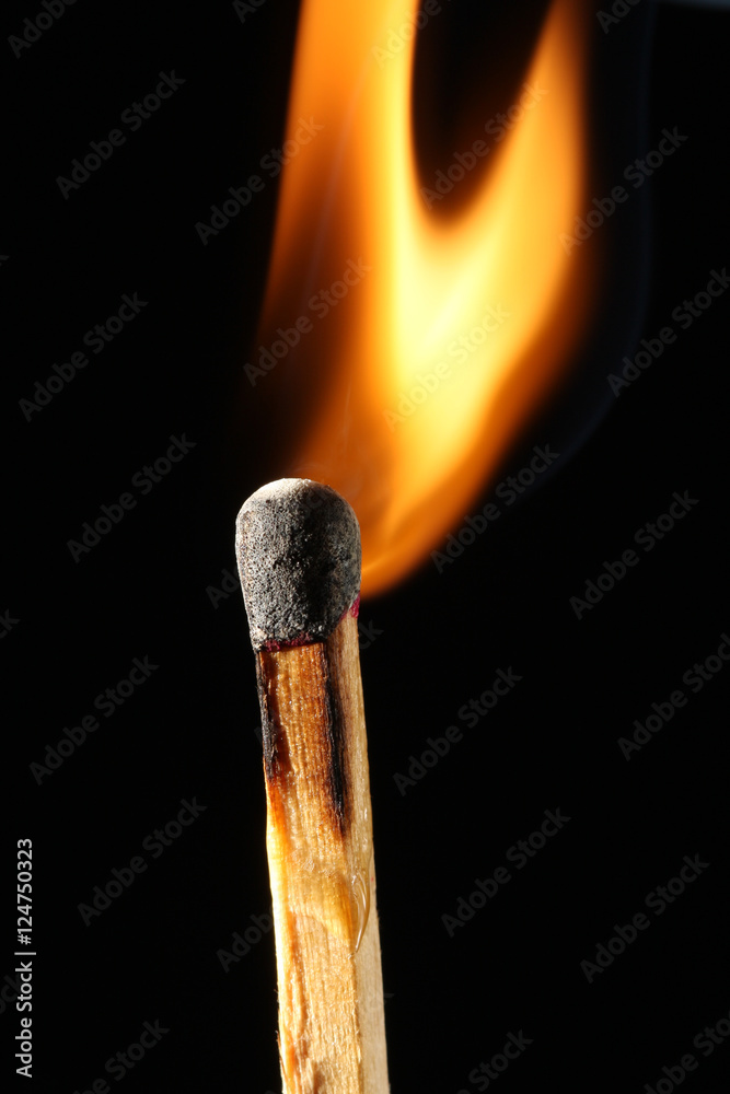 Feuer Feuer