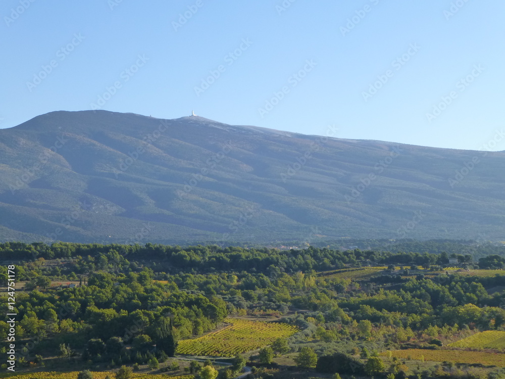Early morning view across golden-coloured vineyards and woods towards Mont Ventoux, Provence, France at the start of a sunny autumnal day