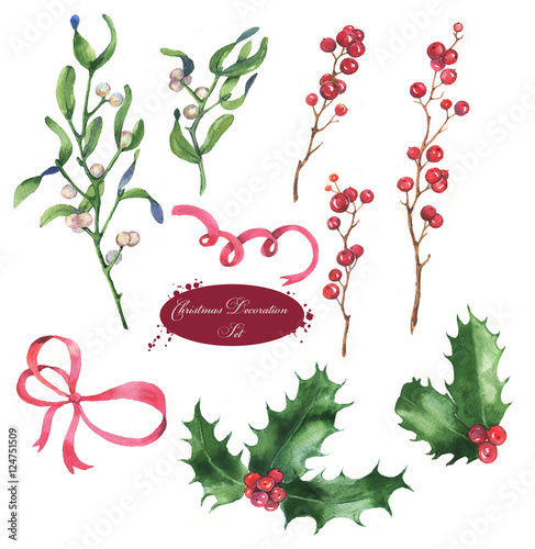 Christmas set of plants with mistletoe branches, leaves, holly and berries. Hand drawn design elements.