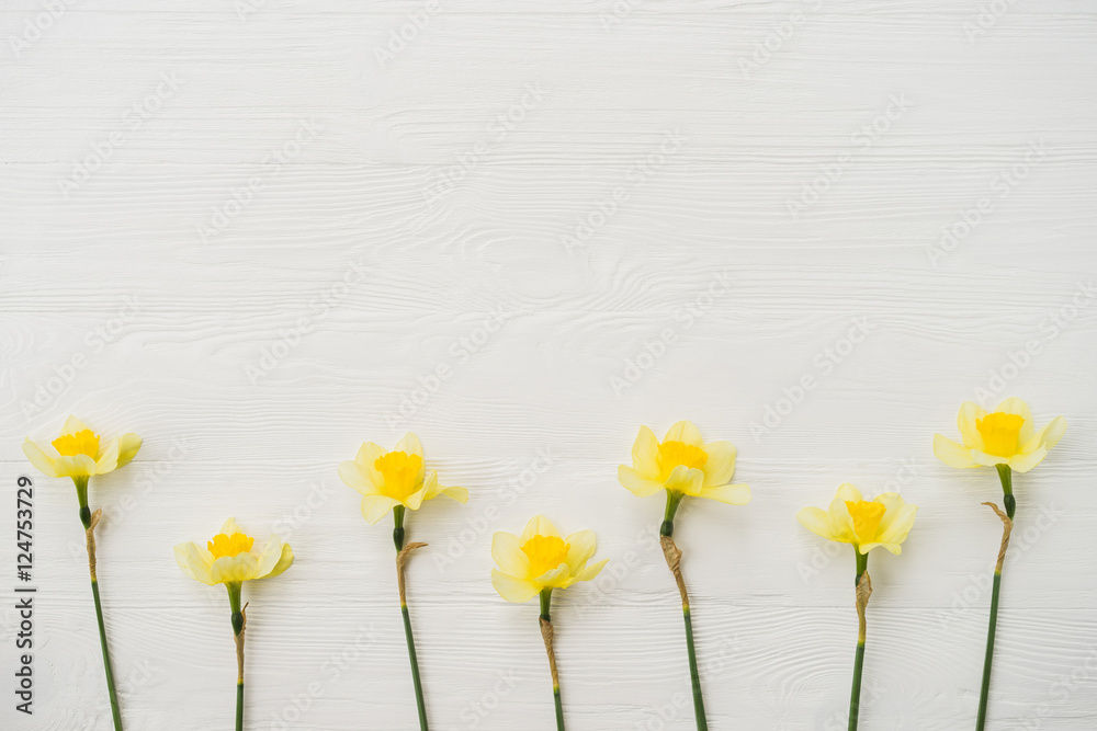 Obraz premium Narcissus flowers on white wooden background. Sign of spring, nature awakening.