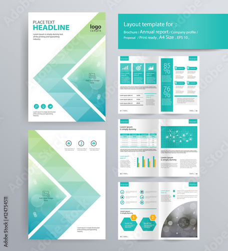 page layout for company profile, annual report, brochure, and flyer layout template. with info graphic element. and vector A4 size  for editable 