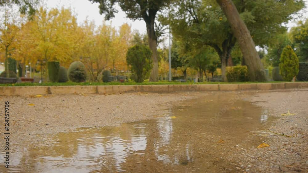 Raindrops falling on park brook creating bubbles