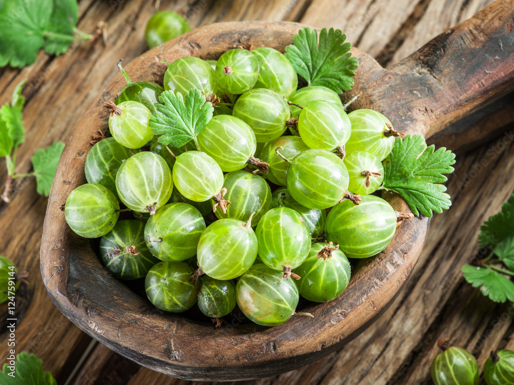 Gooseberries in the wooden bowl on the table. Gooseberries in the wooden bowl on the table.