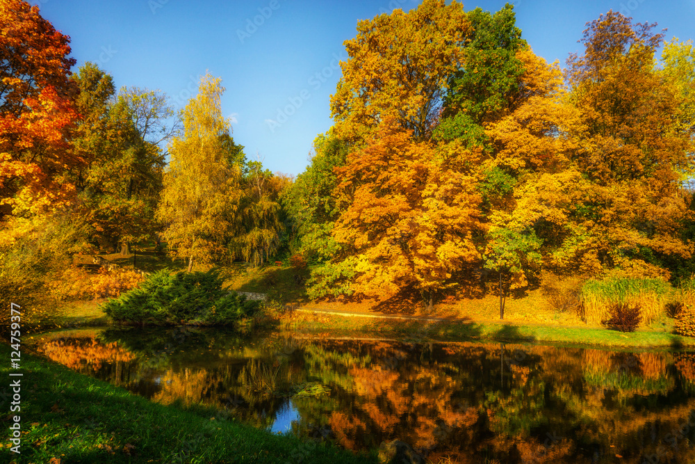 Fototapeta premium Beautiful colorful autumn.