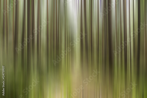 Motion blur trees