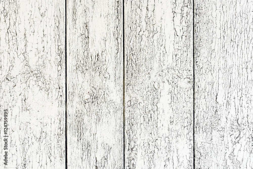 White wood texture White wood texture