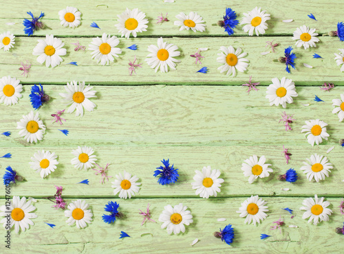 flowers over green wooden background