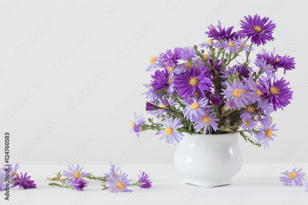 Fototapeta premium Aster amellus bouquet in ceramic vase on white background