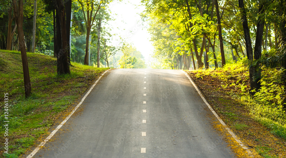 Fototapeta premium forest road trees along at the country side in thailand