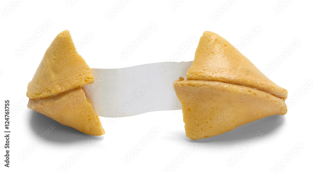 Blank Fortune Cookie Blank Fortune Cookie