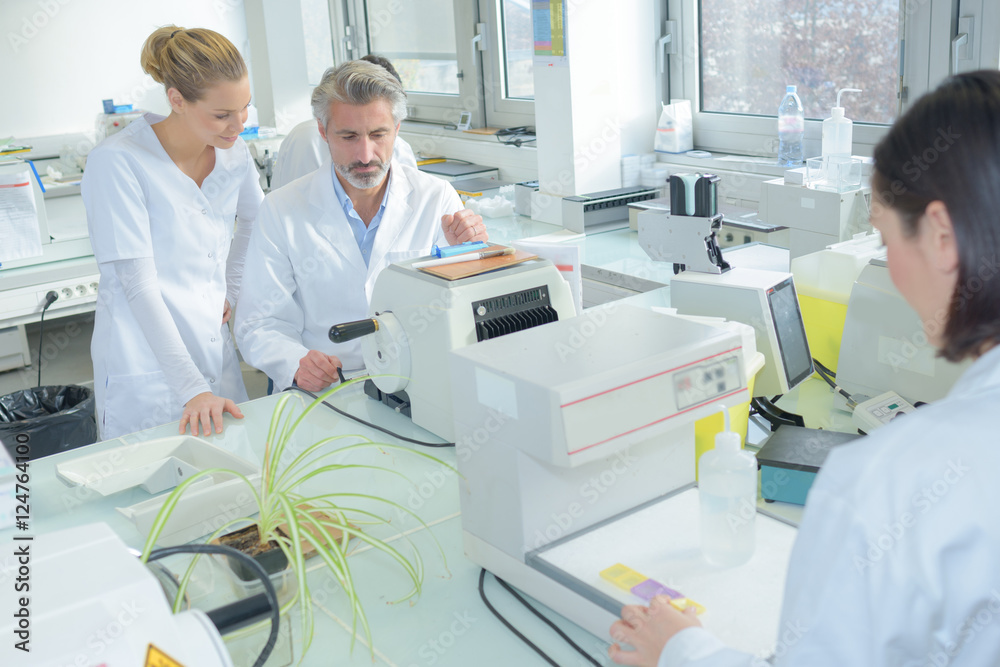 Obraz premium Laboratory workers