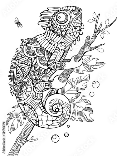 Chameleon coloring book for adults vector