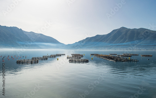 Cages for fish farming photo