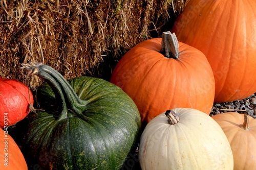 Pumpkins