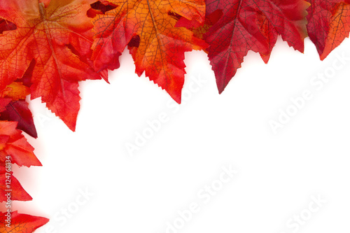Autumn Leaves Background over white