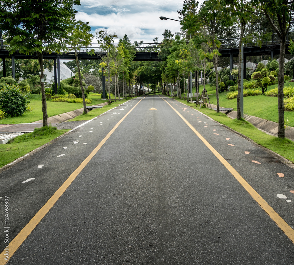 Road in the park