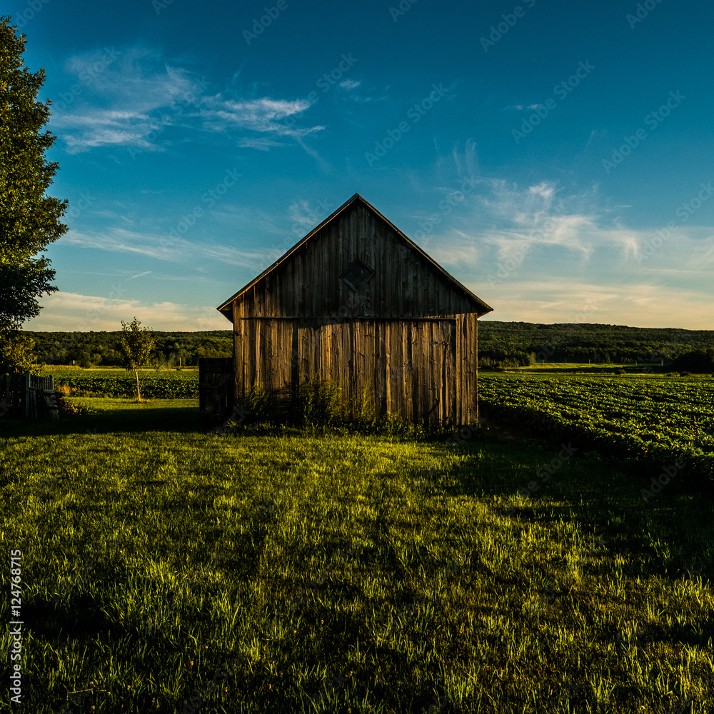 Obraz premium barn sunset