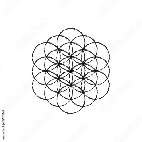 Flower of life vector.Line sketch icon.