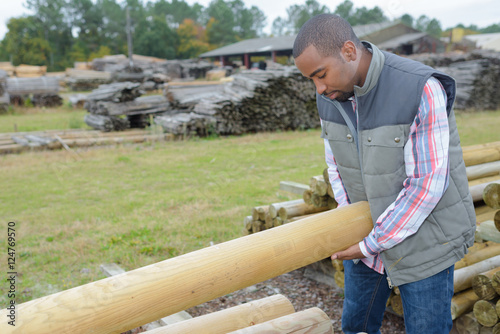 grading the wood photo