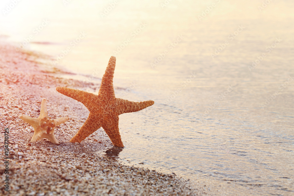 Starfish on a beach sand near water Starfish on a beach sand near water