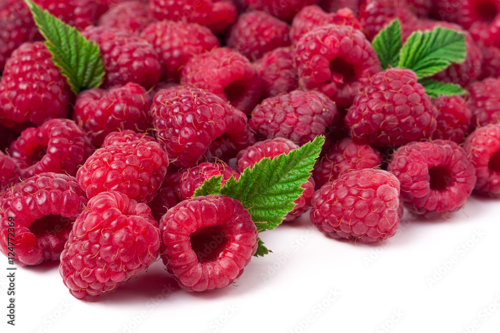 many raspberries isolated on a white background many raspberries isolated on a white background