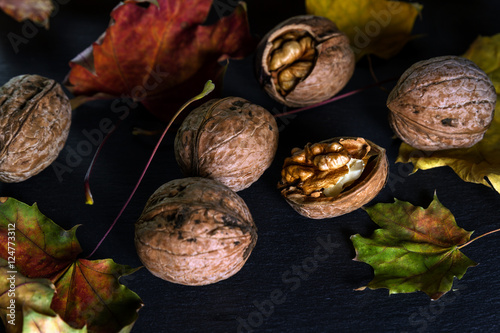 walnuts and colorful autumn maple leaves on a black background