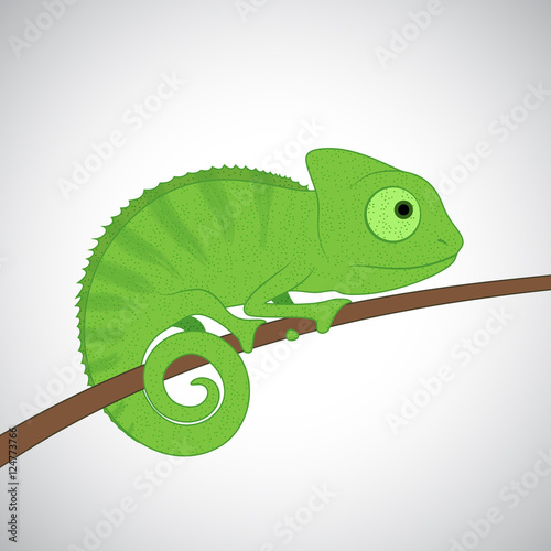 Green cartoon chameleon