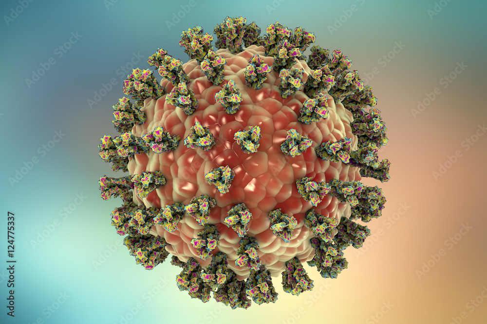 paramyxovirus structure