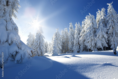 Winterland Schnee photo