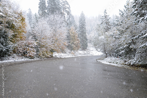 road in forest in caucasus mountains. winter snow, fog and pine trees. Road from Borjomi to Bakuriani, Georgia