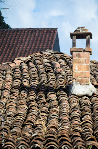 Tile roof of an old traditional house in Tirana, Albania. © allasimacheva