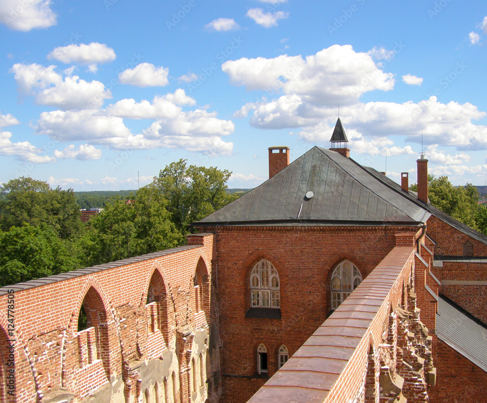 Obraz premium The ancient castle