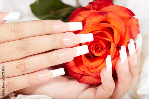 Bilde på lerret Hands with long artificial french manicured nails and red rose flower