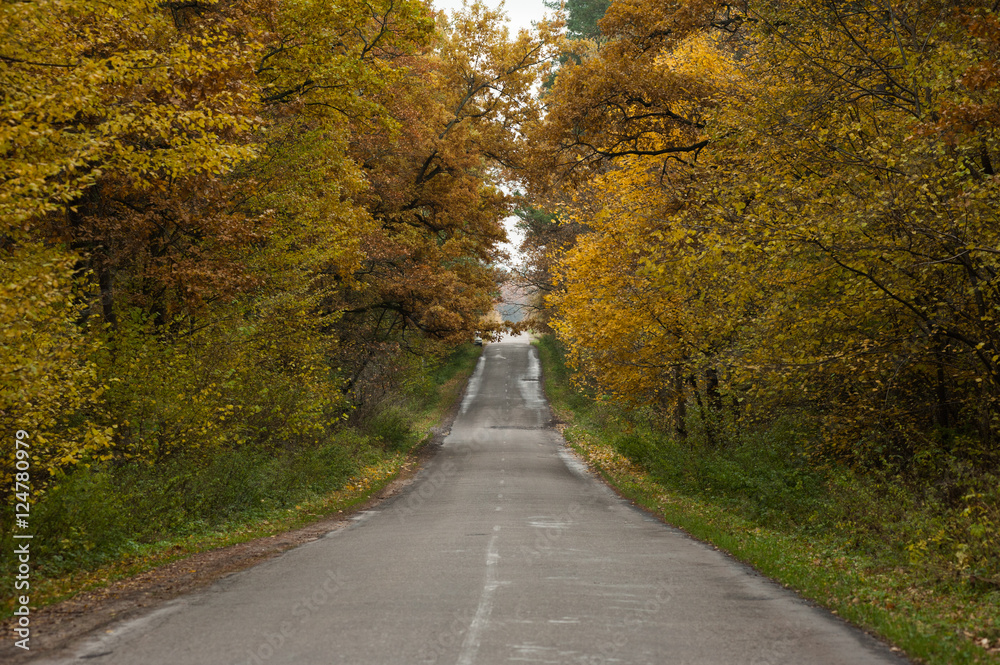 Obraz premium Autumn road