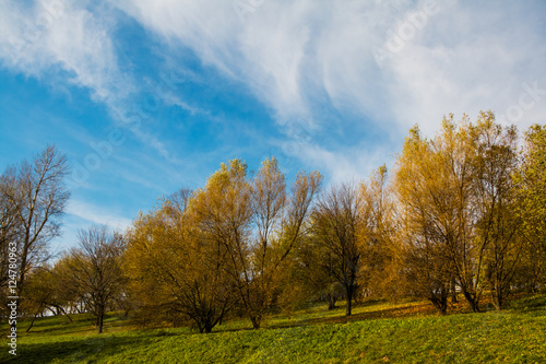 Autumn landscape, park, countryside, trees on hill with yellow foliage, bright blue sky, light clouds.