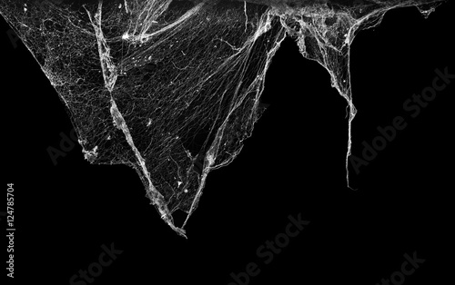 cobweb or spider web isolated on black background photo