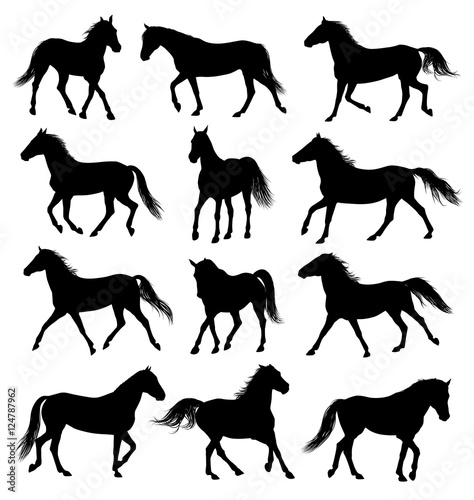 Set of 12 different moving horses silhouettes