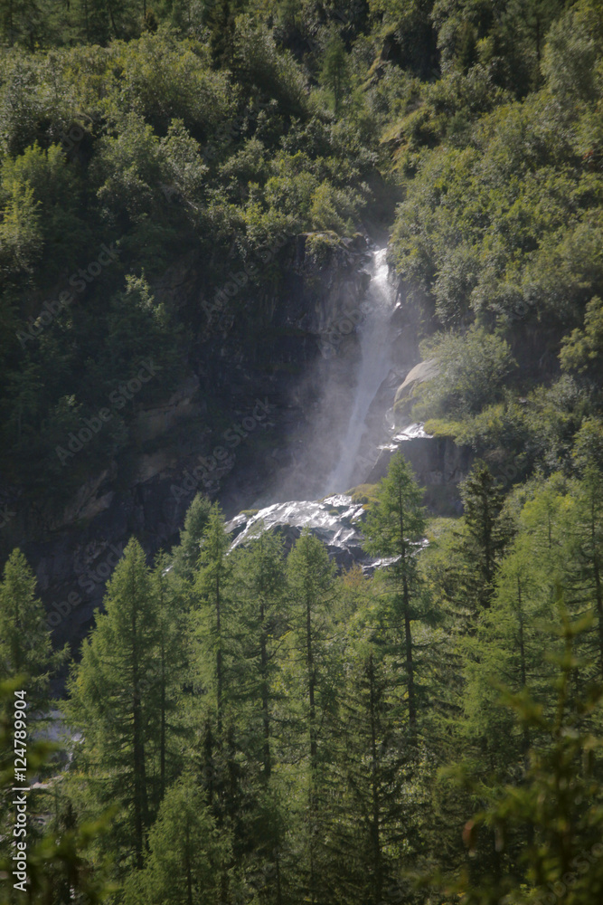 waterfall n trees