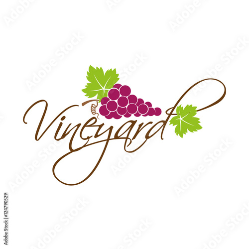 Vineyard field grapes logo