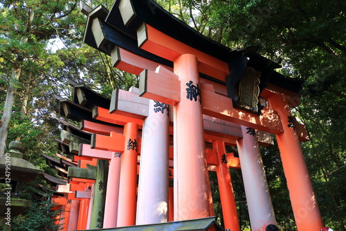 Fushimi Inari Taisya shrine Kyoto Japan photo