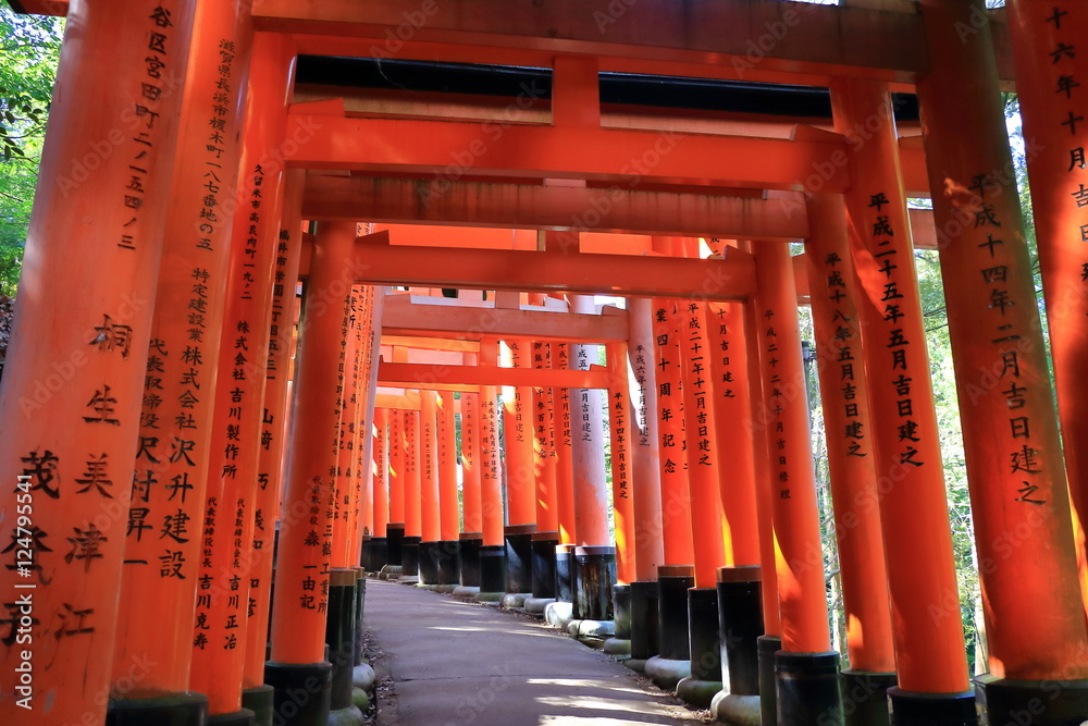 Fushimi Inari Taisya shrine Kyoto Japan
